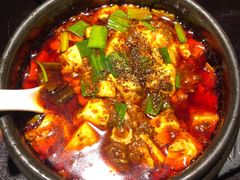 -陈麻婆豆腐总店