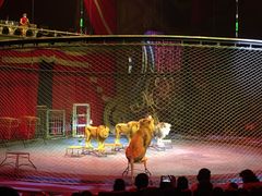 -珠海横琴长隆《卡卡虎奇遇记》