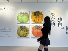 -辰熙ACX星海艺术中心