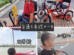 -美的鹭湖森林度假区