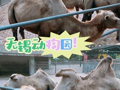 -无锡动物园·太湖欢乐园