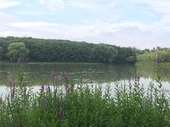 -昆山城市生态森林公园