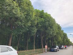 -随柳居·苏式小吃(建新巷店)