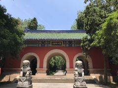 -灵谷景区
