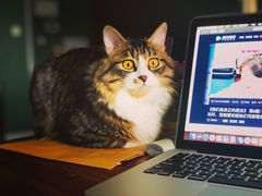 -建辉湖南土菜馆(南大街店)