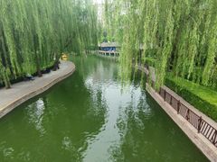 -团结湖公园