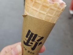 -野人先生现做冰淇淋(西安赛格店)