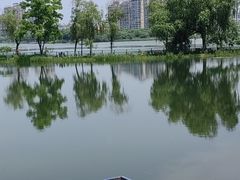 -金银湖国家城市湿地公园