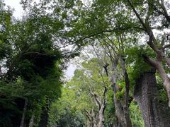 -朴园