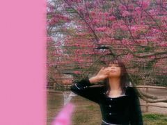 -秀丽东方
