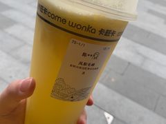 凤梨毛峰-卡旺卡(合肥半边街店)