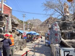 -大岭沟猕猴桃谷风景区
