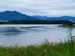 -福建鲤鱼洲酒店