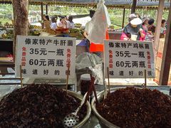 -曼丢傣家古寨