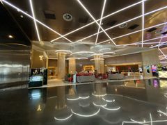 -南京禄口机场雅高铂尔曼大酒店