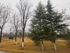 -习仲勋故居