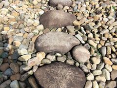 -鹦鹉洲湿地公园