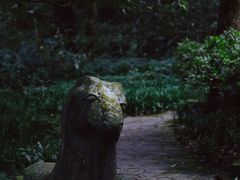 -虎跑公园
