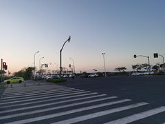 -南汇嘴观海公园