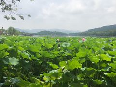 -杭州西湖风景名胜区-北街寻梦