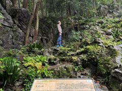 -灵隐飞来峰景区