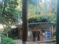 -神仙树公园