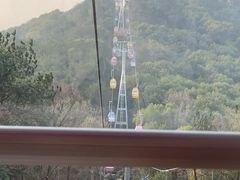 -东湖磨山景区