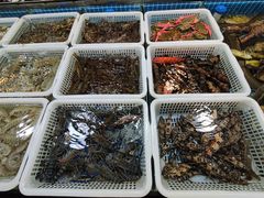 石斑鱼-都斛海鲜街
