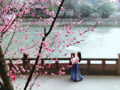 -望江楼公园