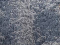 -浙西天池景区