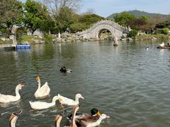 -玄武湖景区-情侣园游乐场