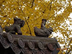 -西林禅寺