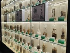 -广东中医药博物馆