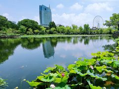 -无锡蠡湖国家湿地公园-蠡园