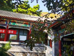 -香山公园