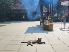 -都江堰普照寺