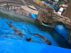 -广州海洋馆