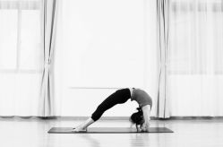 -亚太瑜伽普拉提学院