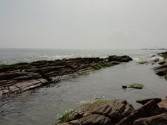 -盐洲岛