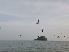 -棒棰岛宾馆景区