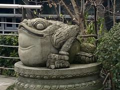 -活水公园