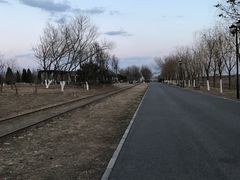 -永定河休闲森林公园