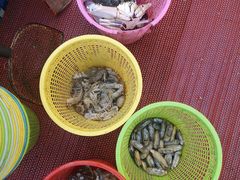 -渔中舟海鲜大排档(普陀沈家门店)