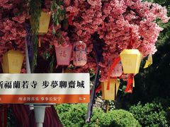 -淄博聊斋城景区