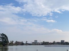 -江门古劳水乡旅游区