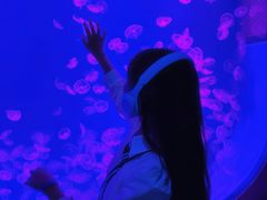 -沈阳海洋探索中心