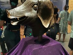 -广西壮族自治区博物馆