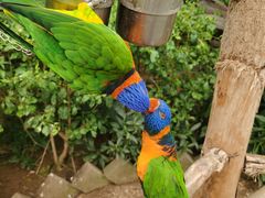 -南宫五洲植物乐园