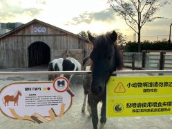 -造物庄园 萌宠纪(苏州湾歌林公园店)