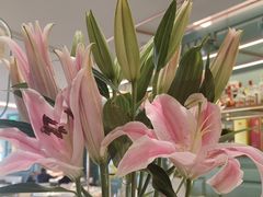 -南堂馆·新川菜(春熙路店)